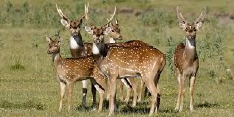 Foto: Ciudad Satélite