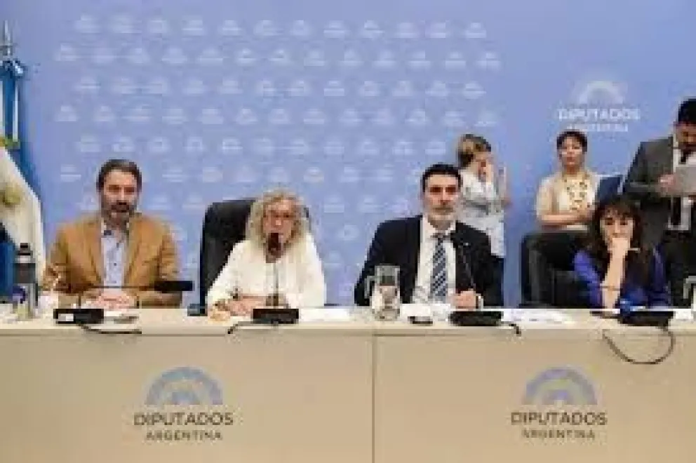 Foto: Parlamentario