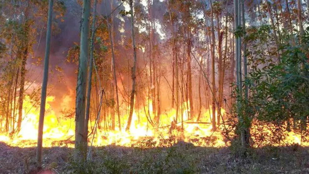 Foto: Elentrerios
