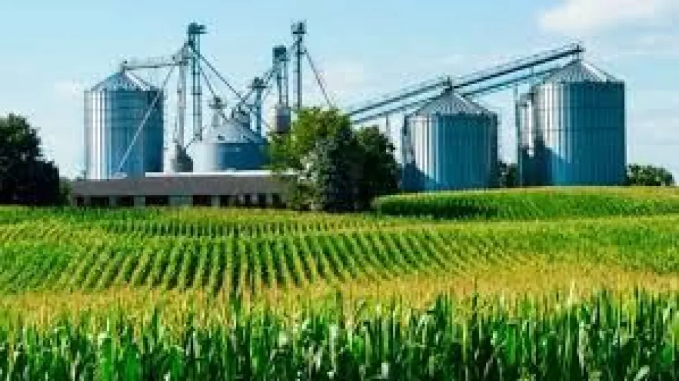 Foto: Agroempresario