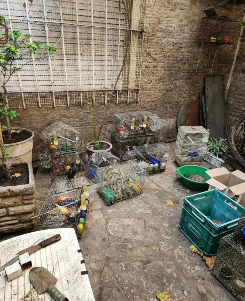 Foto: Diario Judicial