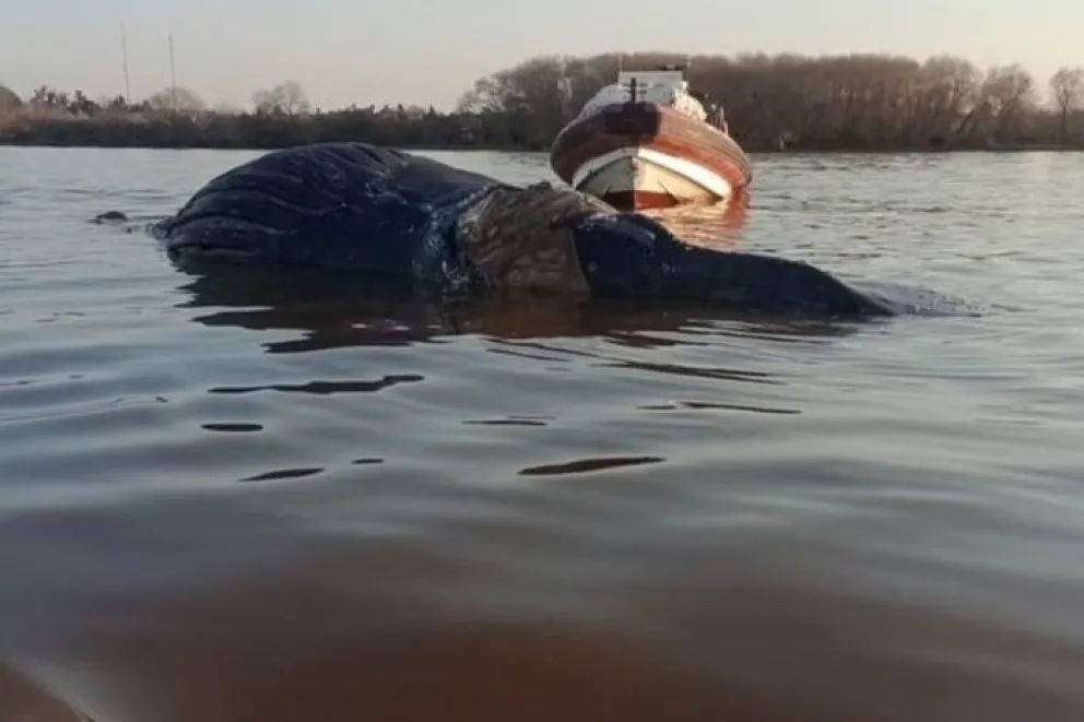 Foto: Redes sociales