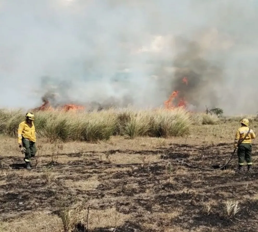 Delta: el Gobierno nacional eliminó el Fondo Nacional del Fuego Delta: el Gobierno nacional eliminó el Fondo Nacional del Fuego