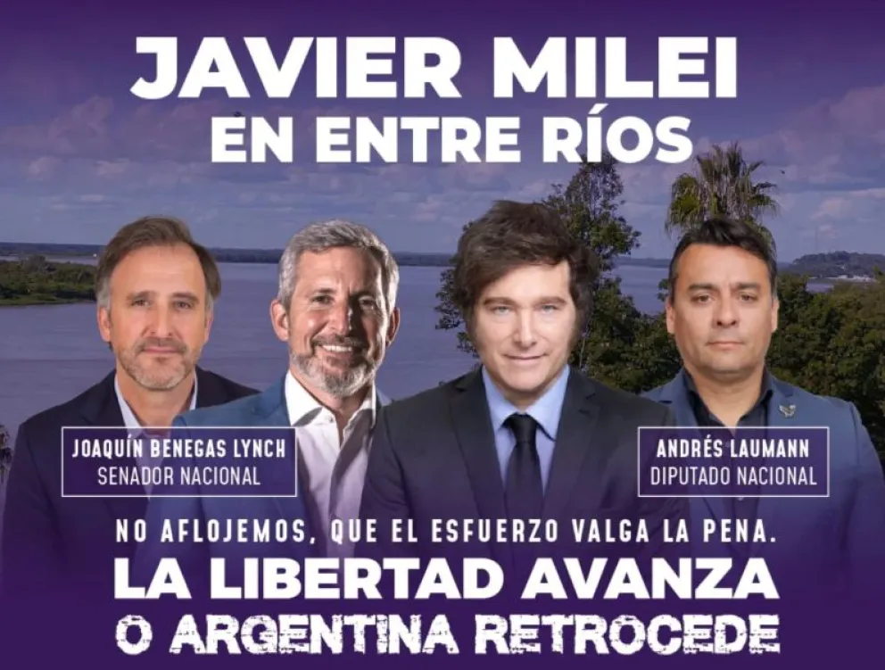 Parte del flyer de La Libertad Avanza. Foto del Instagram: @lla_dpto_parana
