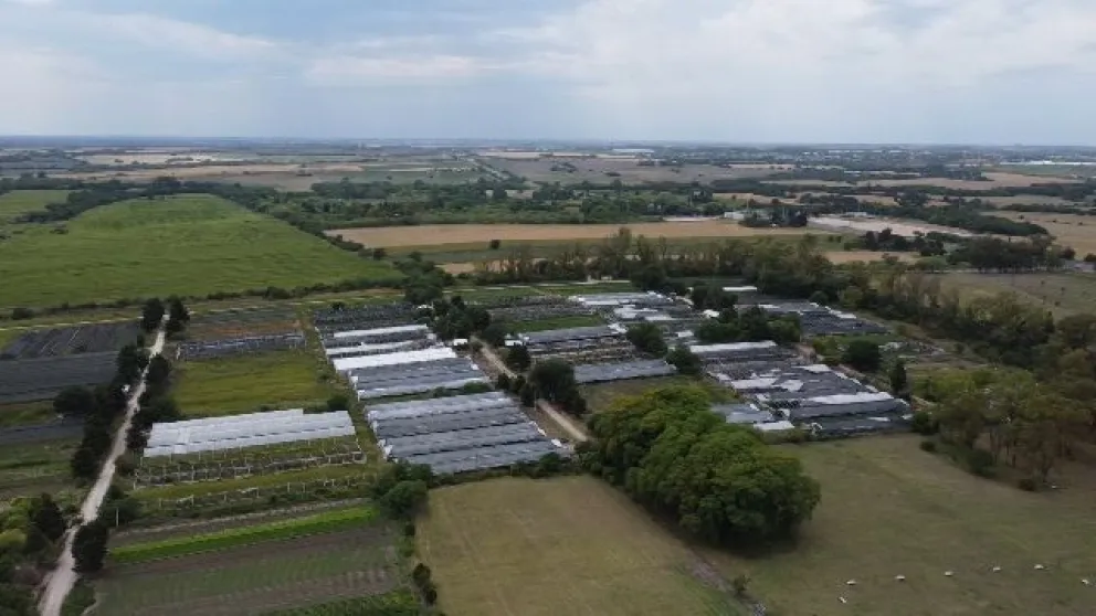Foto: Mercado El Charrúa