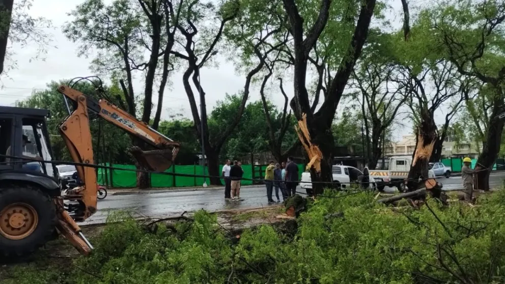 El Municipio dispuso un operativo para intervenir las áreas afectadas