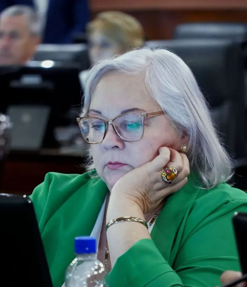 Vilma Vázquez (Juntos por Entre Ríos) 