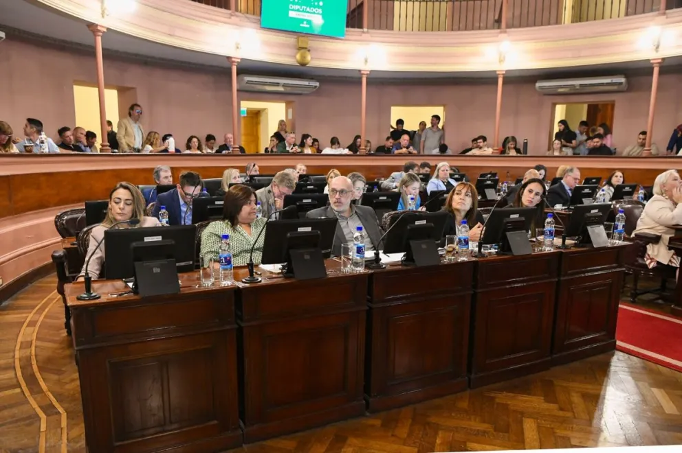 El bloque de diputados y diputadas del PJ repudia los desplazamientos en OSER El bloque de diputados y diputadas del PJ repudia los desplazamientos en OSER