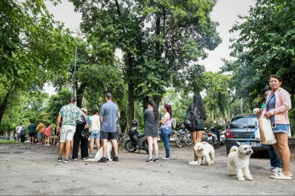 La Municipalidad retomó los operativos de castración en los barrios