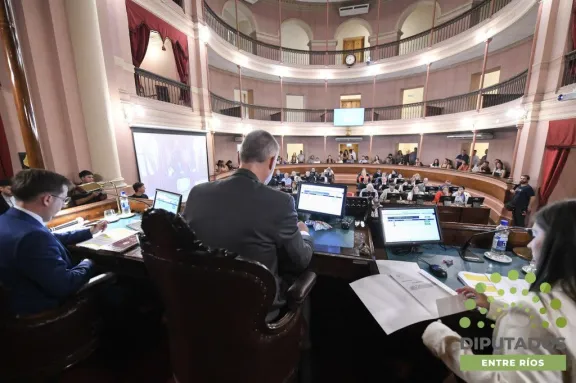 Diputados: La vicepresidencia primera quedo en manos de Carola Laner
