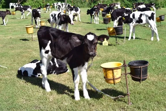 Destacan la vigencia de líneas de crédito para productores rurales entrerrianos por un cupo de 4.000 millones