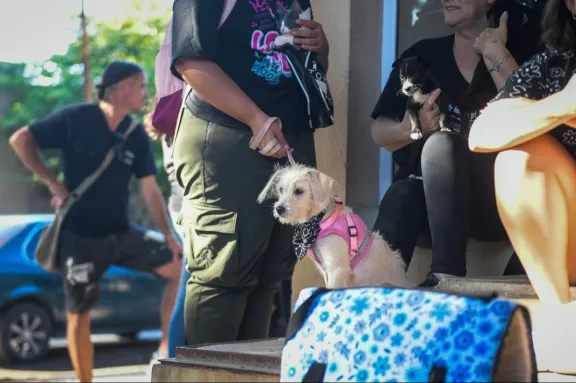 El quirófano móvil de mascotas estará en los barrios Macarone y Justo José de Urquiza de Paraná