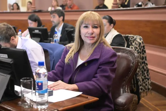 La educación pública necesita compromiso, no relatos políticos