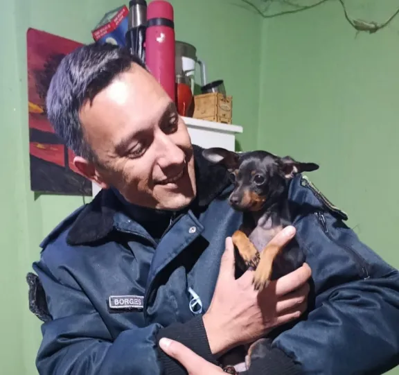 Rescataron a un perrito tras la viralización de un video por presunto maltrato animal en Paraná