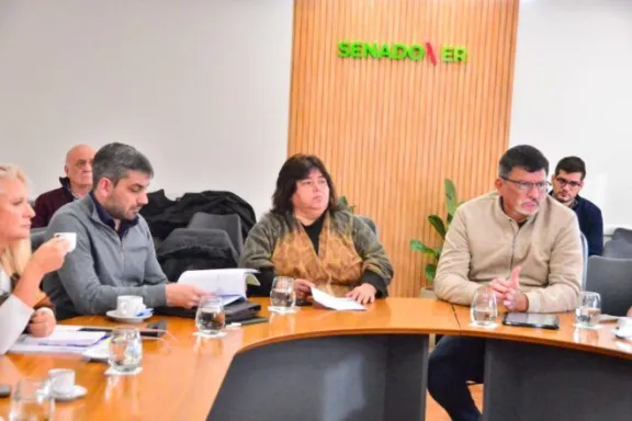 Comisión de Seguimiento de la Deuda Pública: Senadores del PJ estudiarán el proyecto para marcar una postura