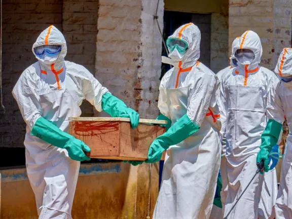 Alerta ébola: detectaron tres buques provenientes de zonas afectadas rumbo al país