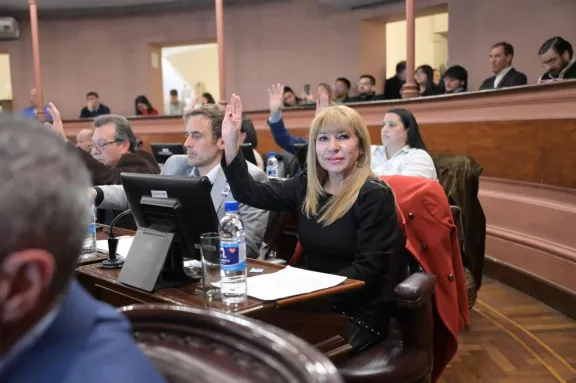 La Entre Ríos productiva que vuelve a ponerse de pie, expresó la diputada Romero