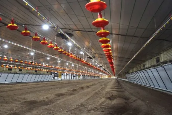 Inversión avícola en Villaguay suma desarrollo en bioseguridad con tecnología de punta