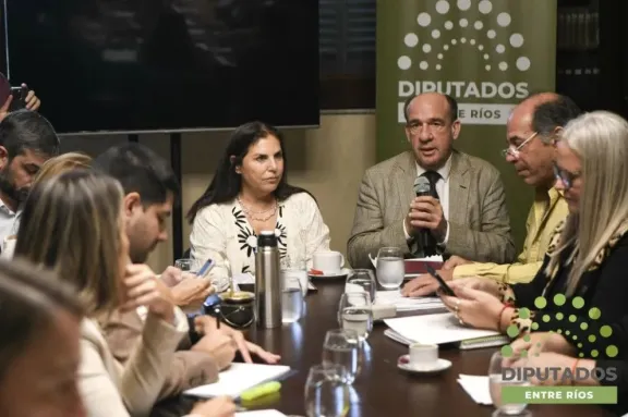 Diputados volverán a debatir los proyectos que buscan regular los pedidos de juicio político