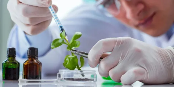 El Gobierno eliminó restricciones para patentes en biotecnología: Qué significa