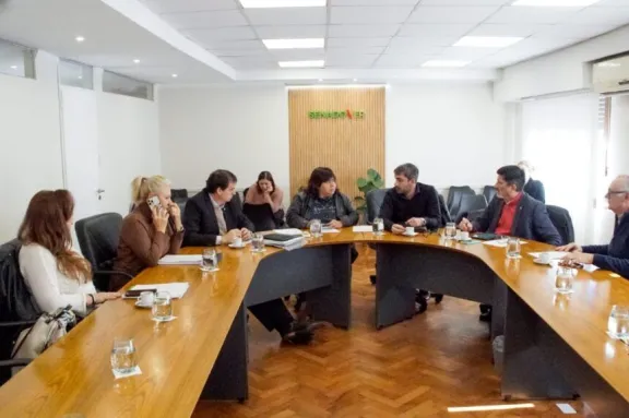 Con un cambio propuesto por el PJ, el proyecto sobre pensiones especiales obtuvo dictamen en Senado