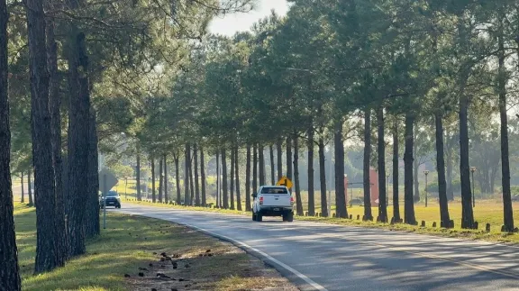 Preocupa en Federación la seguridad vial en la ruta 44