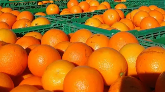 El Municipio de Paraná refuerza la alimentación de merenderos con frutas de estación