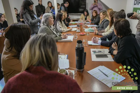 Dan dictamen favorable al proyecto de incentivos tributarios para la actividad comercial en la provincia