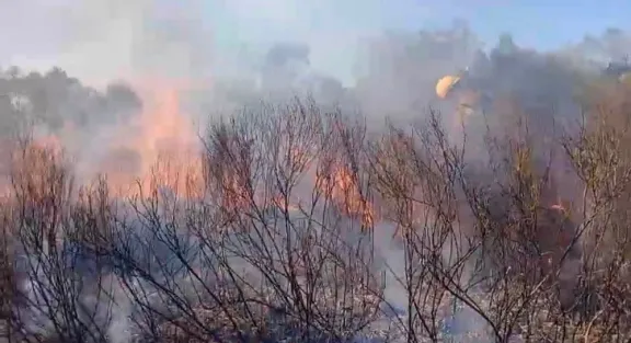 San Benito: Voraz incendio de pastizales avanzó sobre una zona productiva y movilizó a cuatro dotaciones