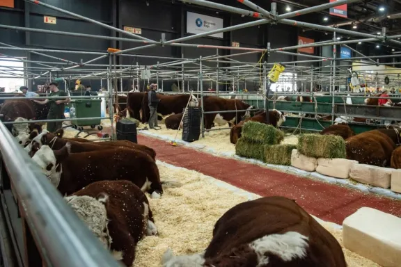 Reconocerán a productores entrerrianos en la muestra rural de Palermo