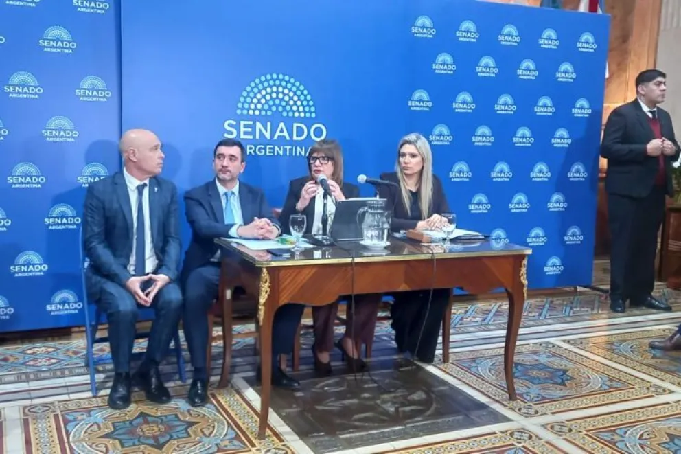 Foto: Parlamentario