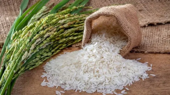 El gobierno provincial creó el sello Arroz Entrerriano para distinguir la producción provincial