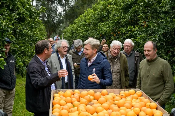 Citricultura en Concordia: Frigerio analizó con exportadores las claves para potenciar el sector