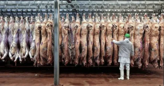 Entre Ríos perdió más de 180.000 bovinos y la faena cayó un 29,49%