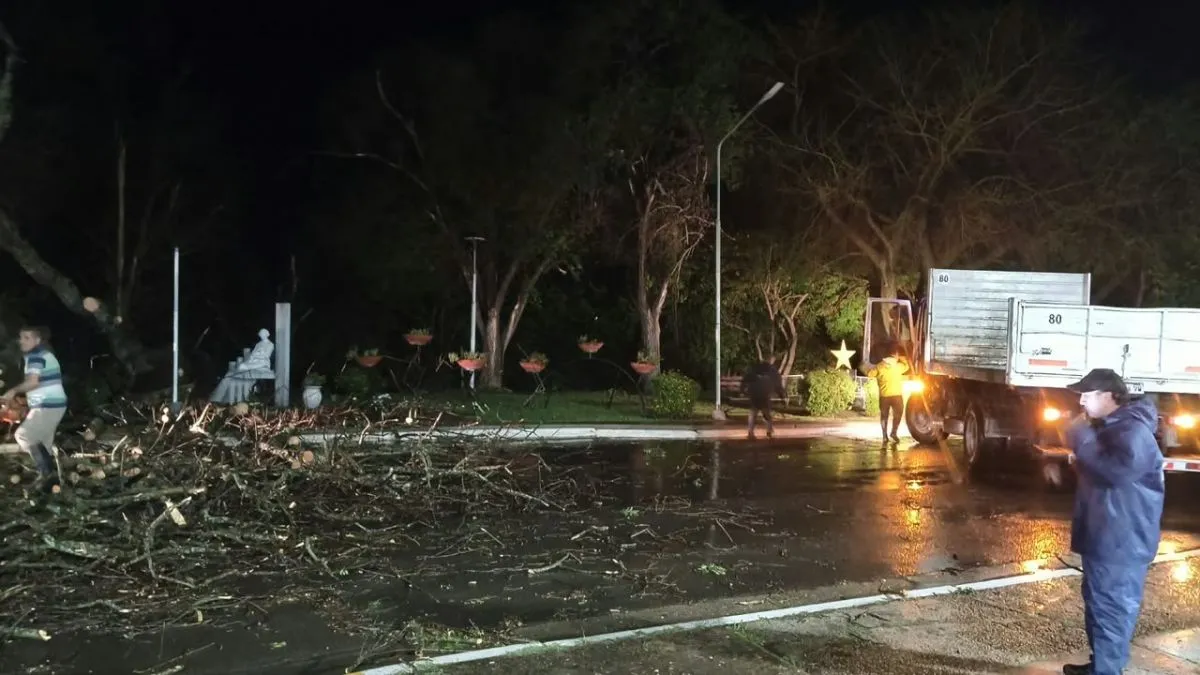 Bajo la lluvia y de madrugada: intenso trabajo en Santa Elena para despejar calles tras la fuerte tormenta