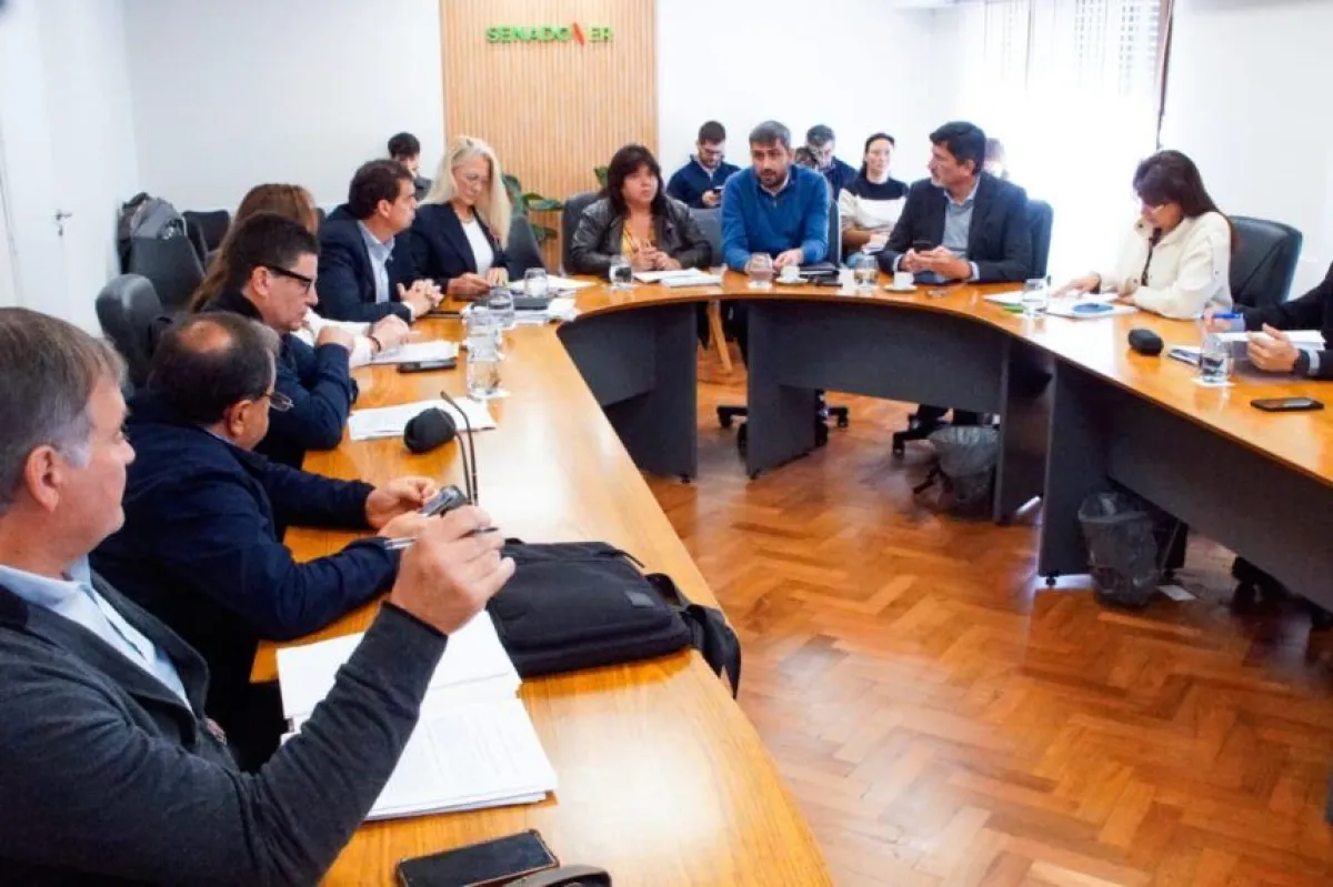 Seguirá en análisis el proyecto sobre Transparencia y Ética en el Senado